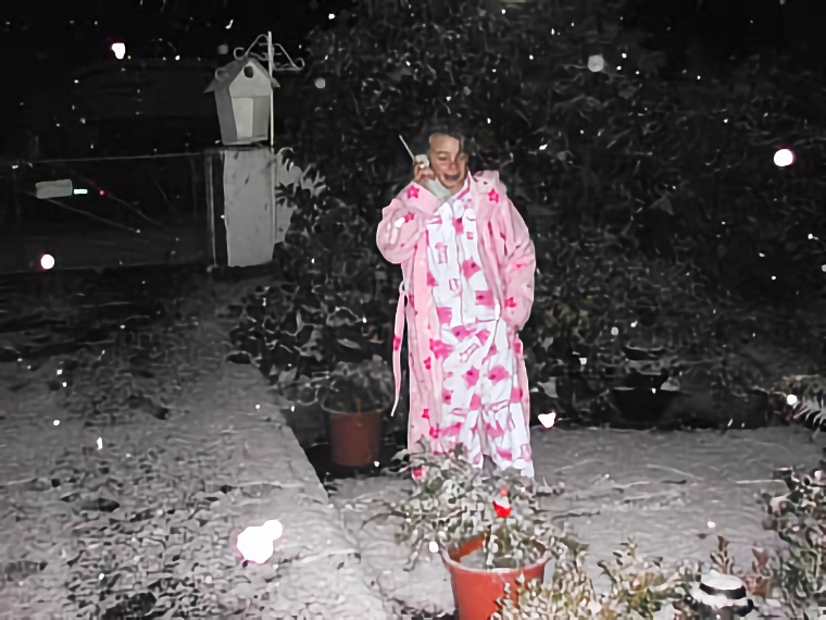 Dunedin Snow 2003