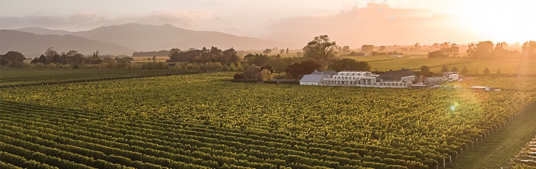 Wine Styles